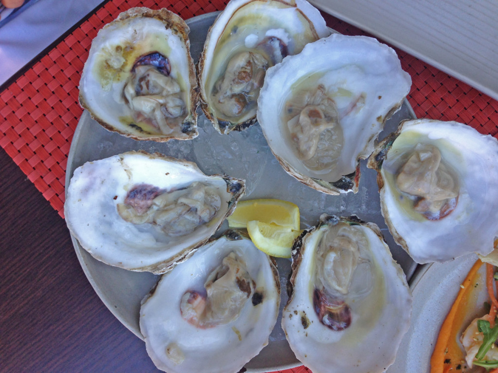 Tongue & Cheek ostras ret