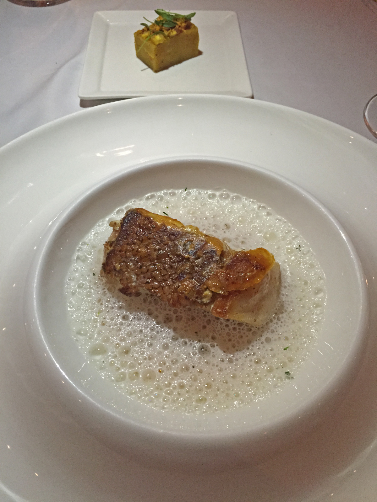 Zazu robalo encocado ret