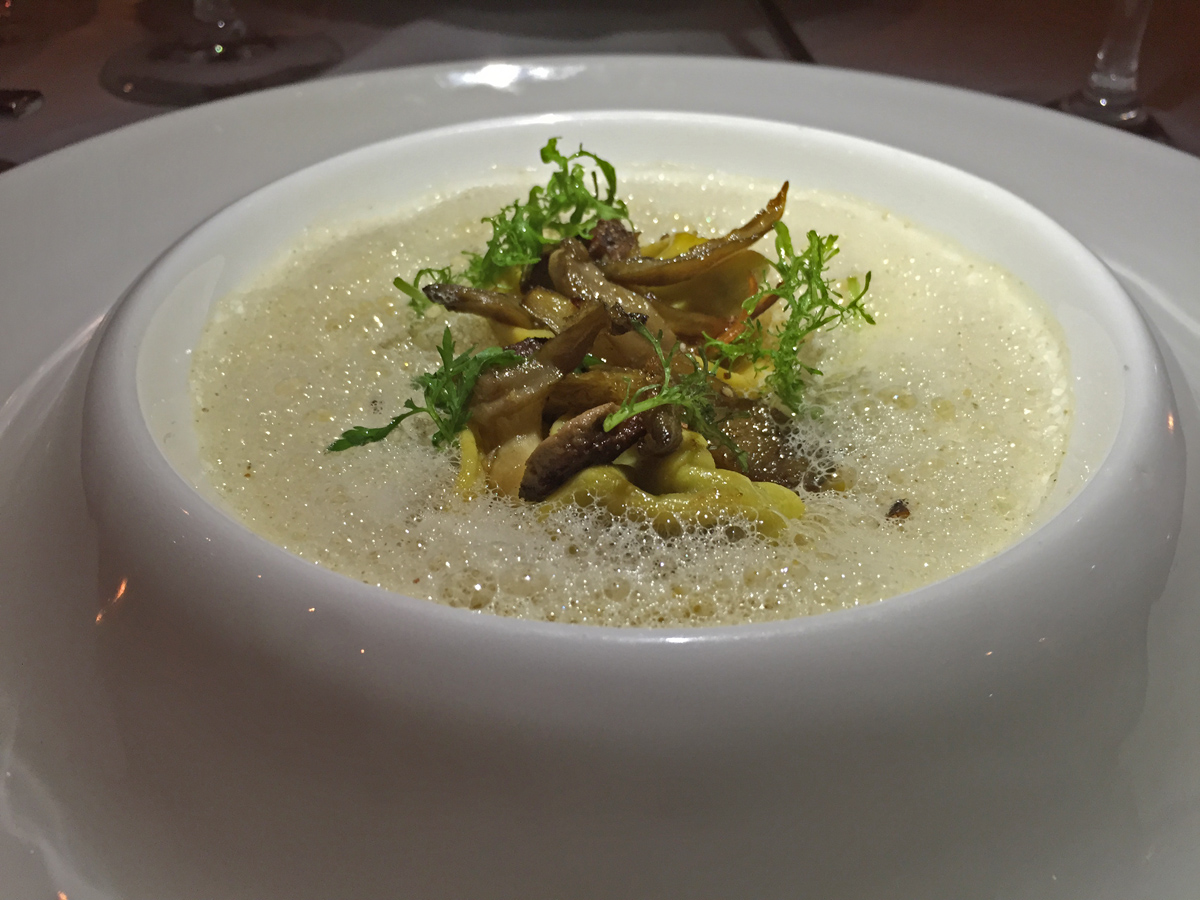 Zazu tortelinis hongos 1 ret