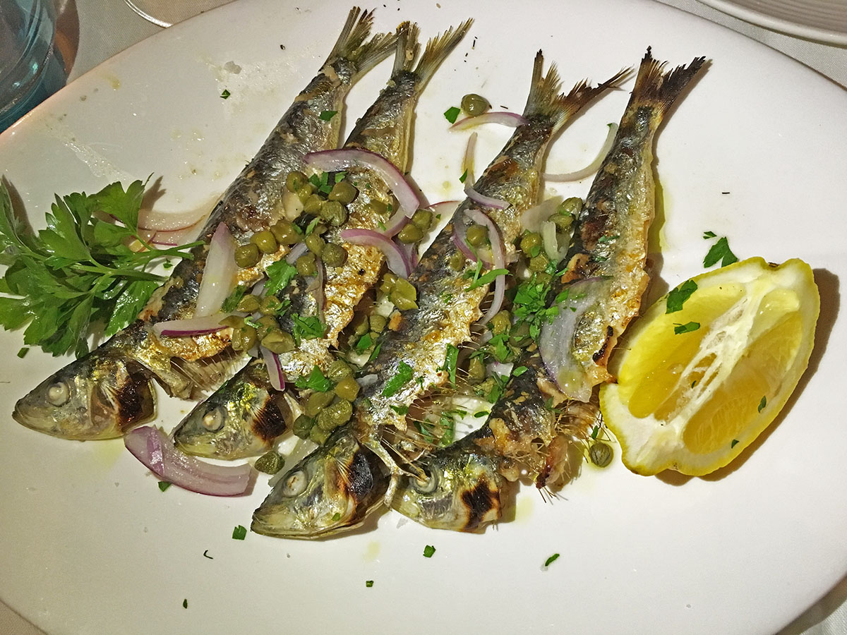 Milos sardinas 1 ret