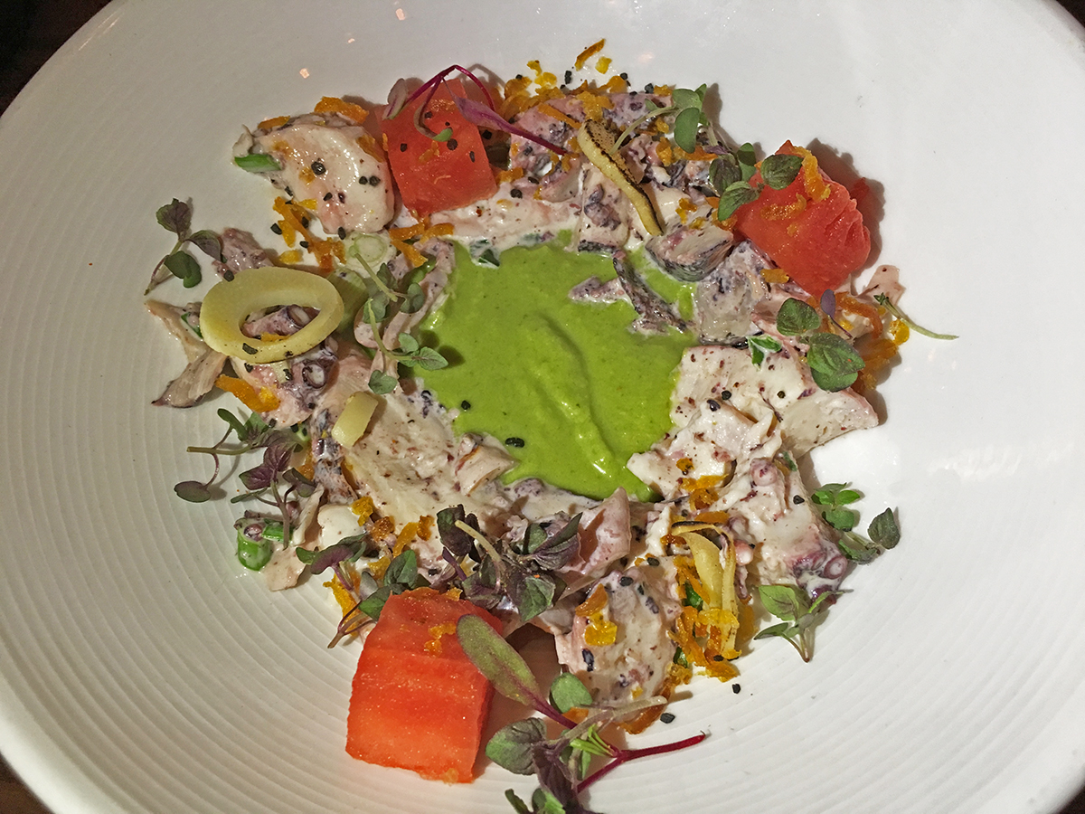 Beaker & Grey pulpo 1 ret