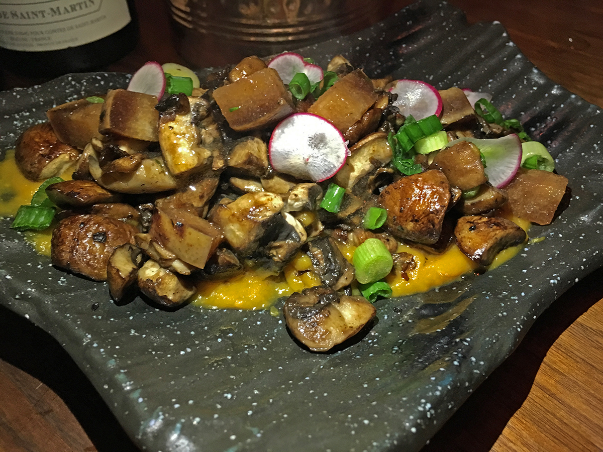 Beaker & Grey setas 2 ret