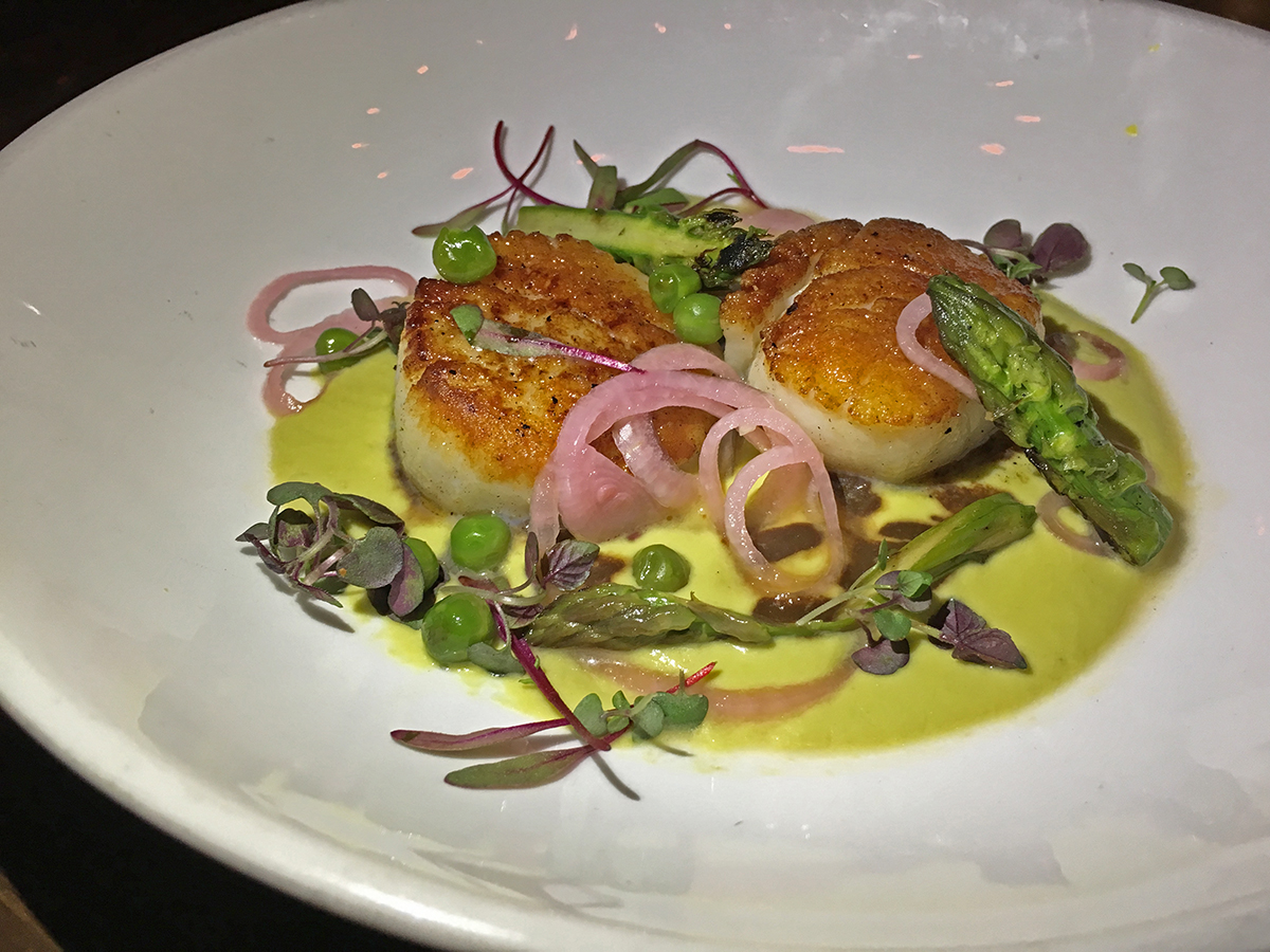 Beaker & Grey vieiras 1 ret