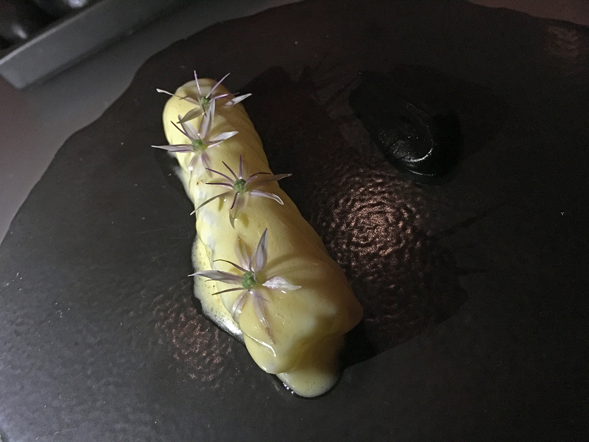 Alinea calamar 2 ret