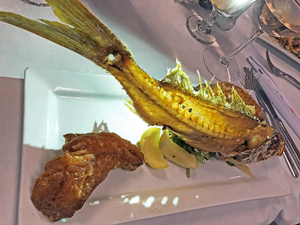 Fifi's colirubia 2 ret