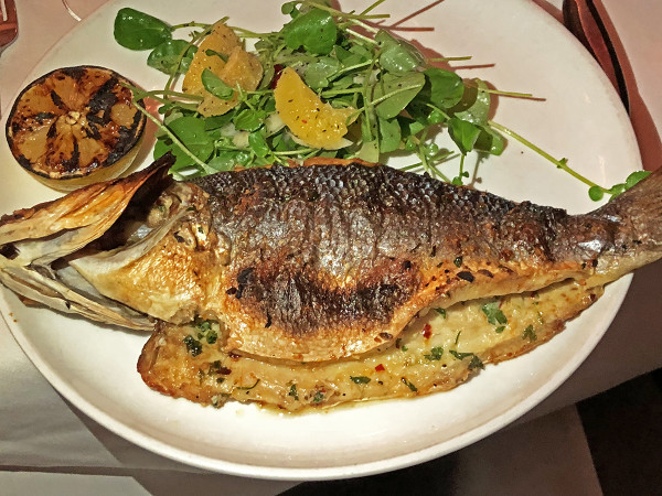 MC Kit branzino 1 ret