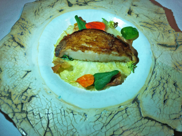 Aubergine abalone 4 ret