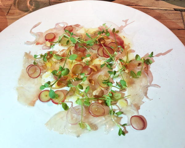 Fismuler ceviche 1 ret