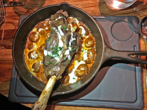 Bachata cordero 1 ret