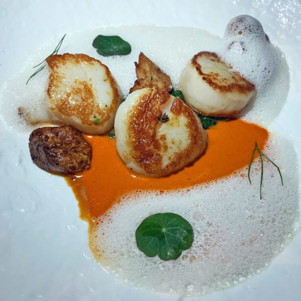 Stubborn vieiras 2 ret