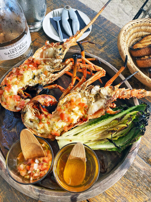 Shellona langosta 2 ret