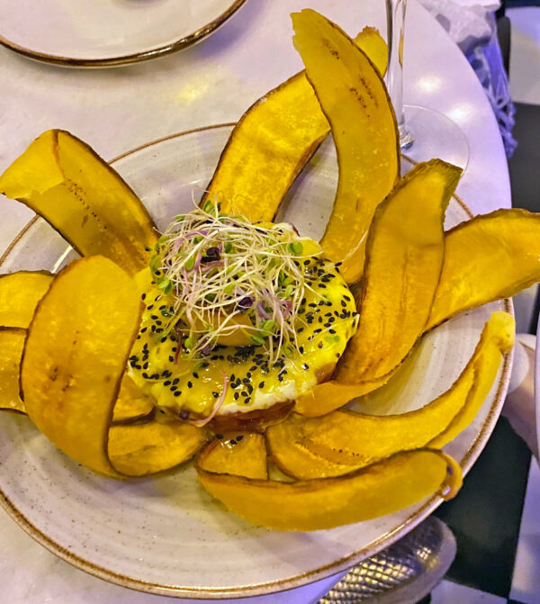 Antiguo 26 tartar tuna 1 ret