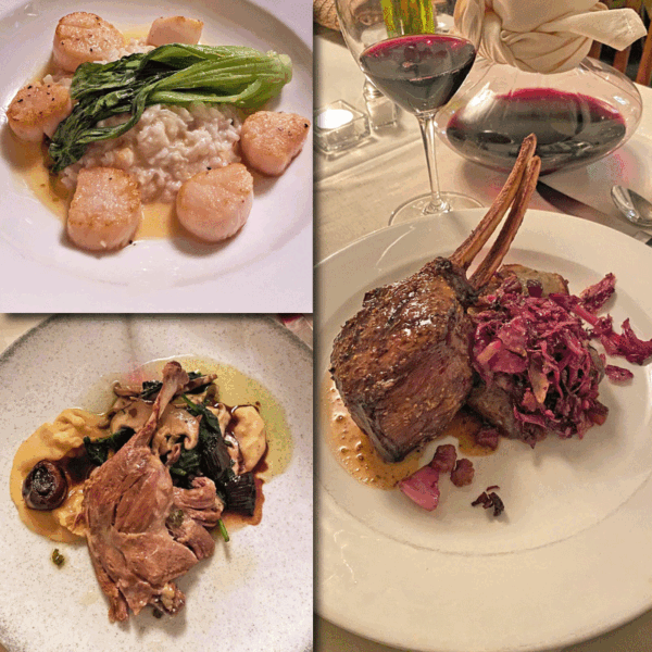 The-Fig-Tree-todos-ret