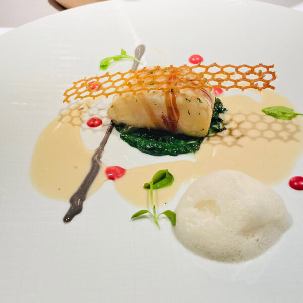 Martin Berasategui lubina ret