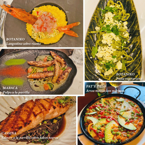 Santo-Domingo-varios-rest