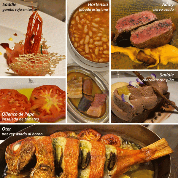 Madrid-Saddle-Pepa-Adaly-Hortensia-Oter