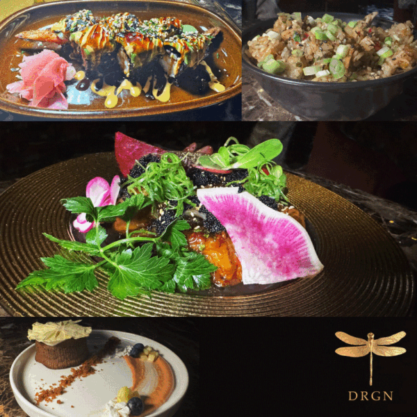 Dragonfly-varios-platos